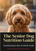 The Senior Dog Nutrition Guide: Transitioning to Raw & Whole Foods Specific recipes tailored for aging organs.