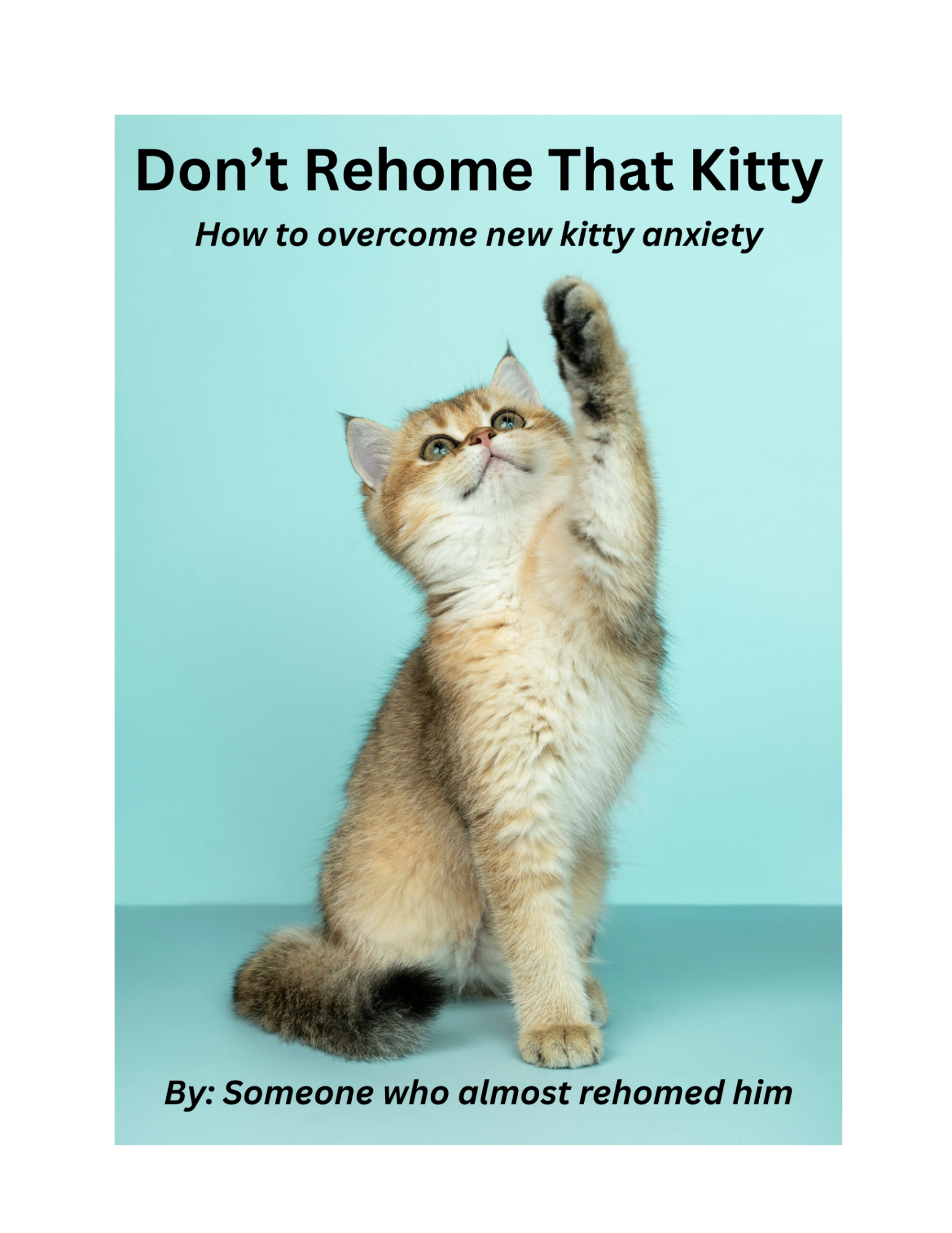 Don't Rehome That Kitty - How to overcome new kitty anxiety